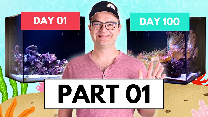 How To Set Up A Saltwater Aquarium Part 01: The Gear