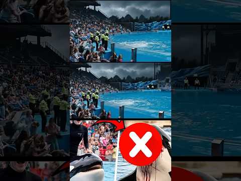 الحقيقة الصادمة عن جيسيكا والحوت          