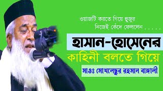 হাসান হোসেনের জীবন কাহিনী বলতে গিয়ে হুজুরের কাঁন্না | hasan hossain kahini Moklesur Rahman Bangali