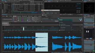 Wavelab Pro 10 Master Cl 6. Audioeditor Overview