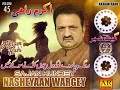 Sajan Hundey Nasheyaan Wargey - FULL AUDIO SONG - Akram Rahi (2002) Mp3 Song