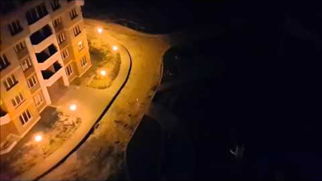 Dogs Chase A Laser Pointer || ViralHog