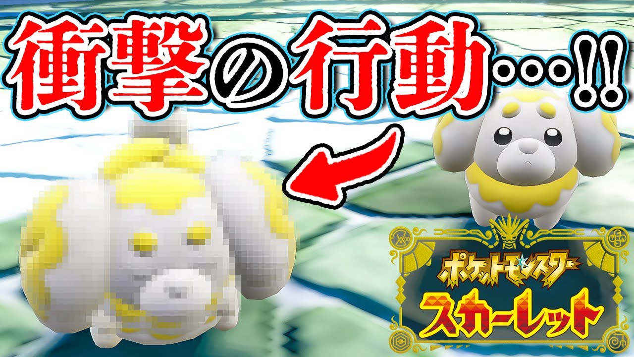 【ポケモンSV】特別なパピモッチを発見したので見てください………！！！【ポケットモンスター スカーレット・バイオレット | 検証 |  小ネタ】@zinmuzin