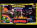 RECORDES MUNDIAIS DE SUPINO FEMININO NO POWERLIFTING IPF |WORLD RECORDS IPF|