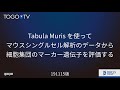 Tabula Muris を使ってマウスシングルセル解析のデータから細胞集団のマーカー遺伝子を評価する