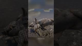 Hunting | legendary Boar | Rdr2 #rdr2 #shorts