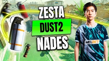 Zesta Nades — Dust2 vs Eruption — CS2 POV 1XBET MESA ASIA SERIES 2024 FINALS