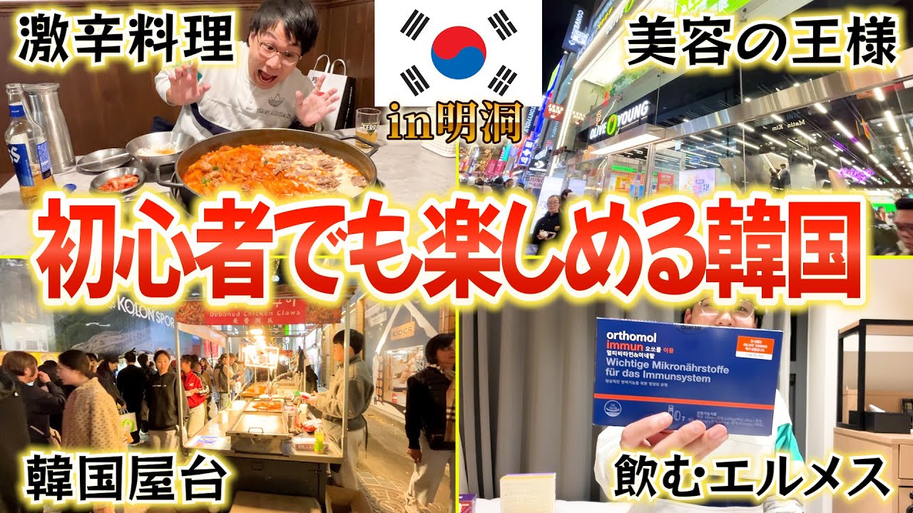 【韓国やばすぎ】初心者の明洞の楽しみ方をお届けするつもりがただ楽しかっただけの動画になった