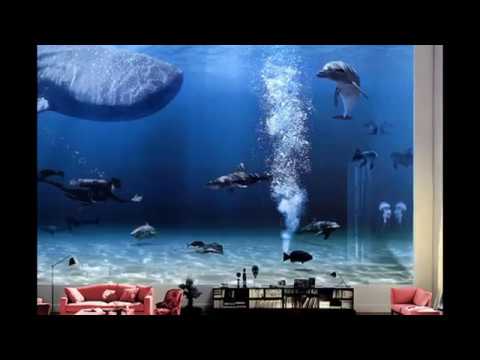 აქ ცხოვრობს ბილ გეითსი, მსოფლიოში ყველაზე მდიდარი ადამიანი