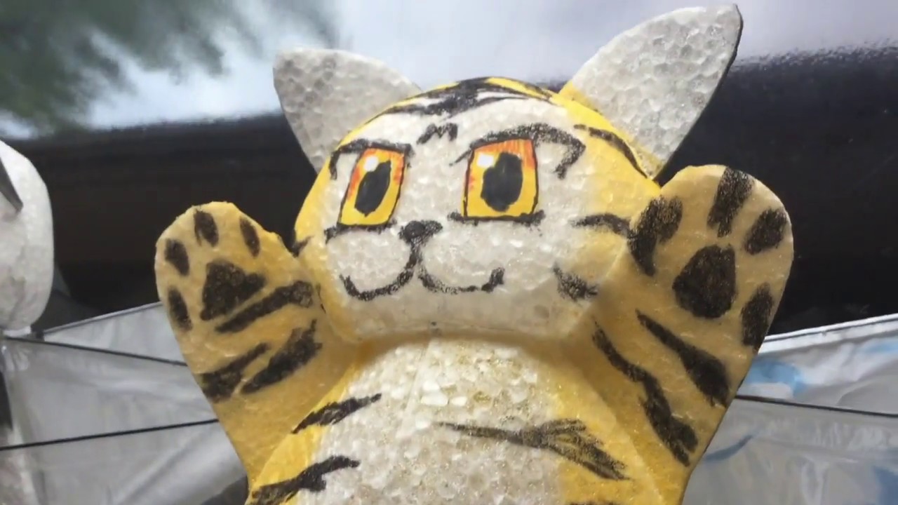 Flying Panda & Tiger & CAT 空飛ぶパンダ トラ ネコ - YouTube