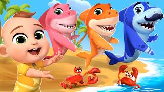 Baby Shark Dance (Ocean Friends) | Almama Kids Songs & Nursery Rhymes