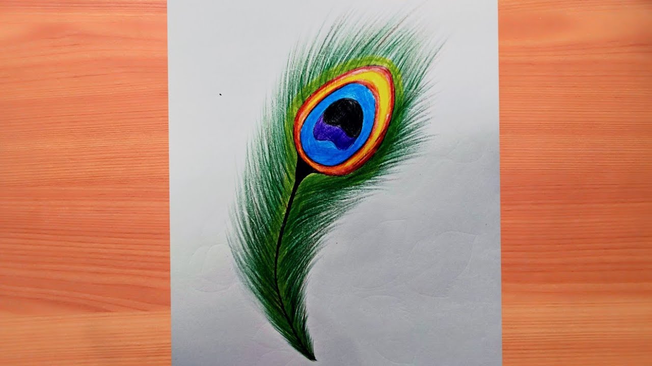 Share more than 144 peacock feather drawing easy super hot - vietkidsiq ...