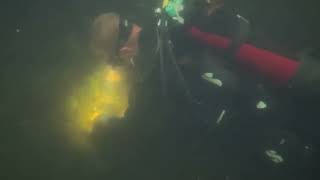 Aart Jan Aan Het Werk Bij Interkoi Ameide