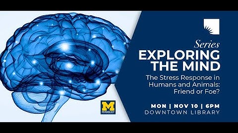 Exploring the Mind | The Stress Response in Humans and Animals: Friend or Foe? (Beehner)