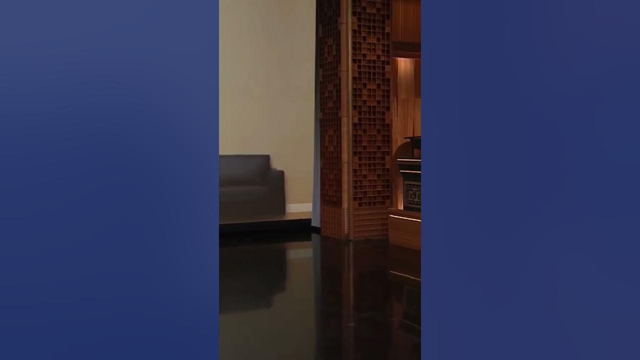 Shakira con Jimmy Fallon (Recreando Coreografías de Tik Tok) - YouTube