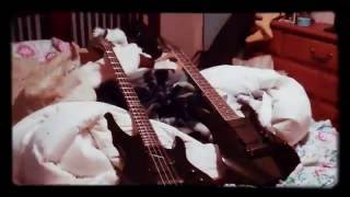 Shiva Shaktal - Logrus