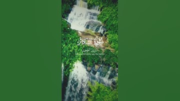 سورة التكاثر _ الشيخ ماهر المعيقلي #راحة_نفسية #قرآن #اكسبلور #quran