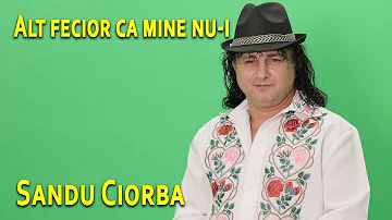 Sandu Ciorba - Alt fecior ca mine nu-i