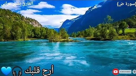 سورة صٓ | القارئ بشير عرابي | تلاوة خاشعة | أرح قلبك