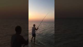 مغامرة تحدي رحلة صيد السمكة العنيدة العديد الدوحة قطر Fishing by hook strong fish Doha Qatar