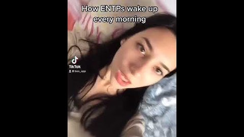How ENTPs Wake Up Every Morning | TikTok | Boo