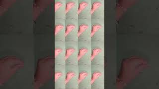 Abba Dabba jabba#shorts#trending#viral#video