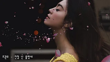 조관우 - 진정 난 몰랐네 (가사)