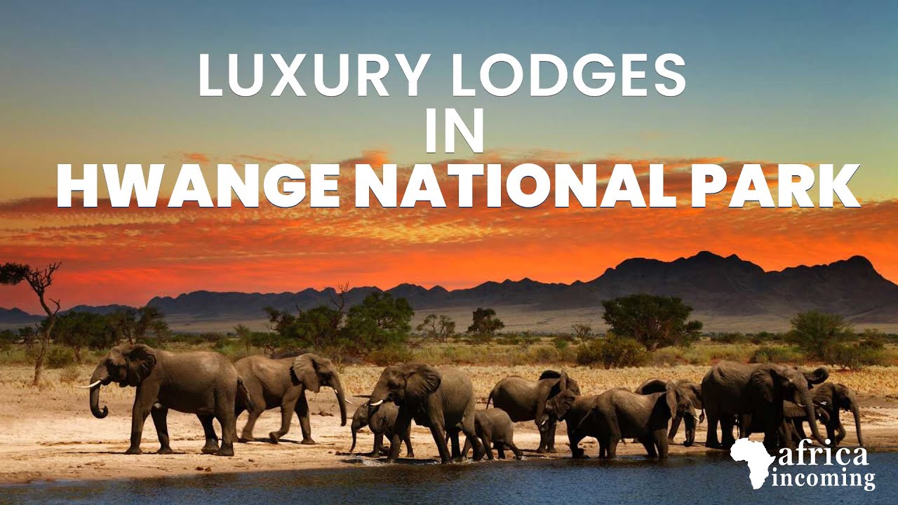 Luxury Safari Lodges in Hwange National Park | Authentic Zimbabwe ...