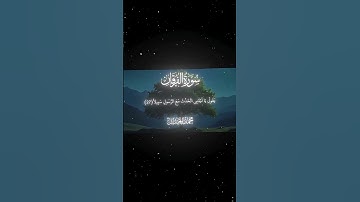 سورة الفرقان|27|القارئ:#محمد_اللحيدان #قران #quran #راحة_نفسية #قران_كريم #تلاوة_هادئة #تلاوة_خاشعة