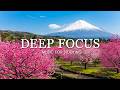 Deep Focus Music To Improve Concentration - 12 Hours of Ambient Study Music to Concentrate #2
