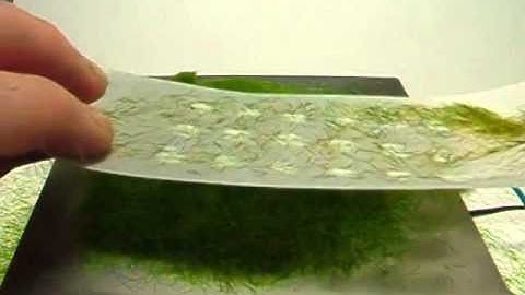 Making grass tufts with the Flockbox