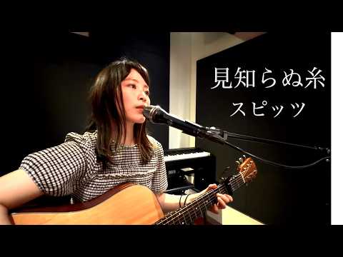 スピッツ/見知らぬ糸 TBSドラマ『Tシャツが乾くまで』主題歌(Covered by のしげまつ)