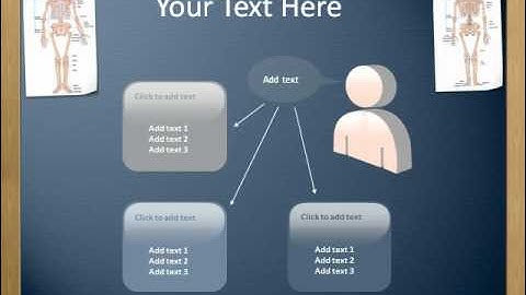 Skeletal System Anatomy Powerpoint (PPT) Template