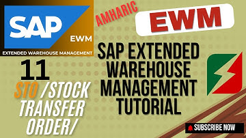 SAP EWM STO (Stock Transfer Order) Full Tutorial | In Amharic