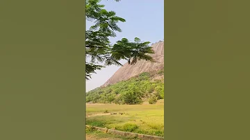 Raha Gardishon Mey 