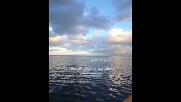 سورة فصلت ♡ إلياس حجري (31-32)