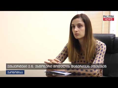 ექსპერტები ე.წ ესტონური მოდელის დანერგვას აფასებენ