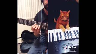 Working with maestro 🐱 by Akizguitar 2,024 views 3 years ago 1 minute