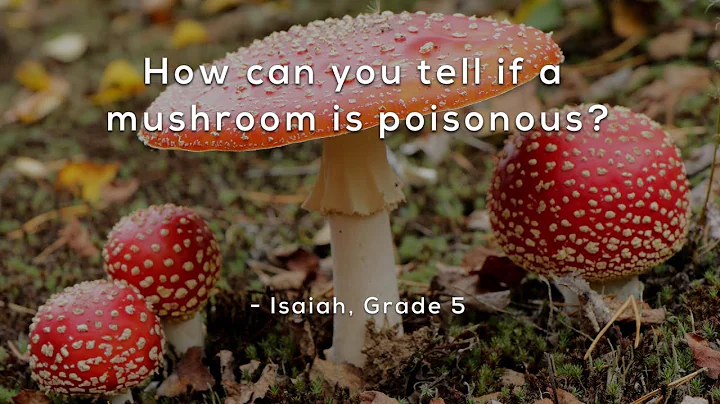 How can you tell if a mushroom is poisonous? - DayDayNews