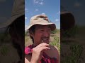I Spent A Day With A Maasai Herdsman I Spent A Day With A Maasai Herdsman