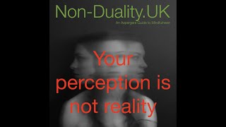 Your Perception Is Not Reality - Bite Size 58 - Non Duality Explained