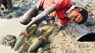 Best Fishing Video - Boys Catching Big Fish From Mud In The Dry Season