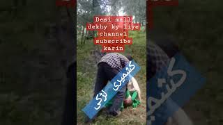 کشمیر کی لڑکی کی ویڈیو جنگل میں دیکھیں کیسی لگی مزید ویڈیو دیکھنے کیلئے چینل سبسکرائب کریں