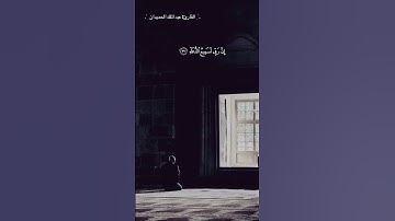 #تلاوة_خاشعة #تلاوات #تلاوة_هادئة #قرآن #القرآن_الكريم #تلاوات_خاشعة #تلاوات #صوت_جميل #قرآن_كريم
