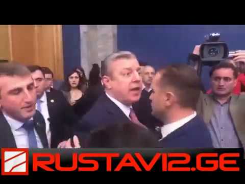 კვირიკაშვილმა მელიას აგინა