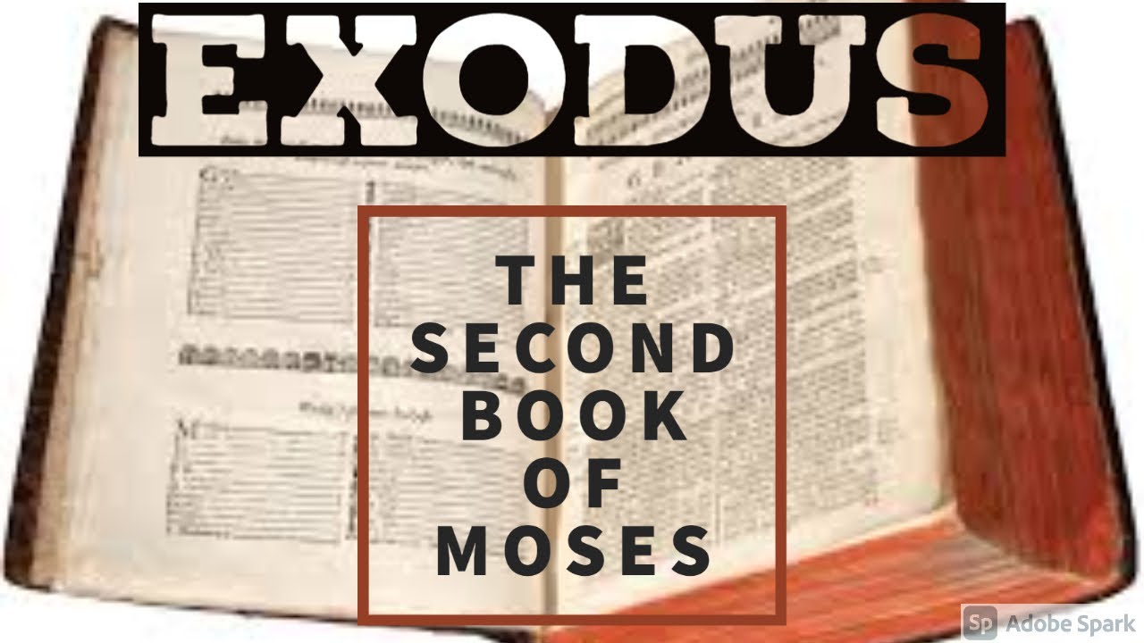 THE BIBLE BOOK OF EXODUS CHAPTER 13, 14 & 15 - YouTube