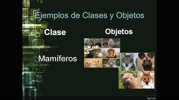 Programacion Orientada a Objetos conceptos basicos