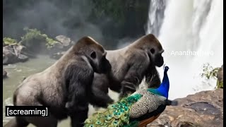 GORILLA and Monkey #gorilla #monkey #youtube #nature #viral  #google #explore #kids #1million #wild