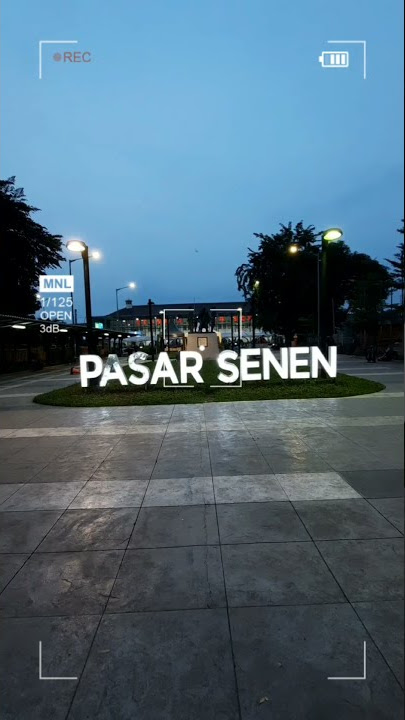 Stasiun senen | #short #shorts #senen