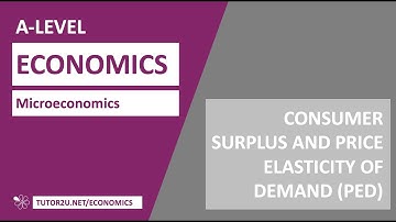 Consumer Surplus and Price Elasticity of Demand